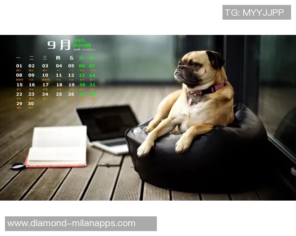 足球热情与科技结合的电脑桌面壁纸设计灵感分享